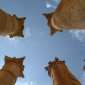hellinistische Säulen in Jerash
